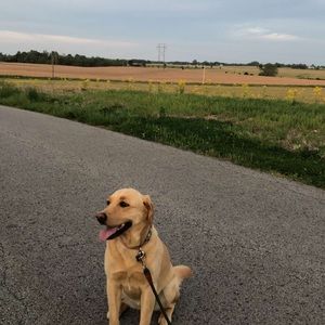 Meet your Posher, Anthony